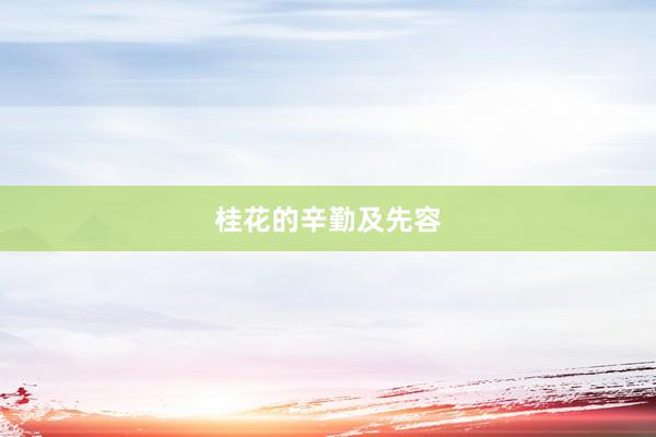 桂花的辛勤及先容