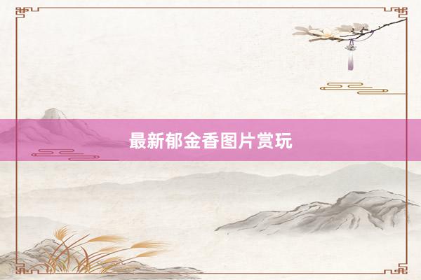 最新郁金香图片赏玩