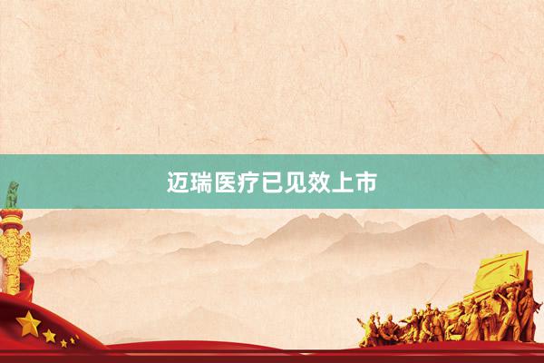 迈瑞医疗已见效上市